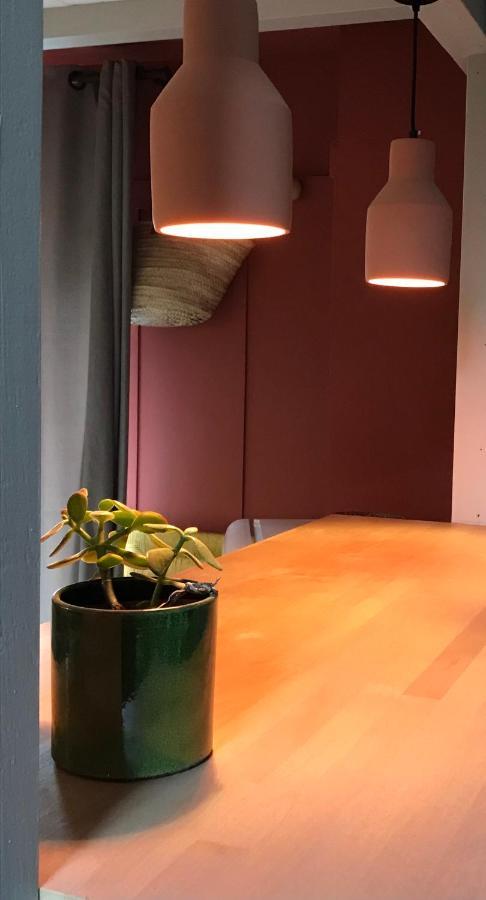 Appartement Douillet, Plein Centre Le Chambon-sur-Lignon Zewnętrze zdjęcie