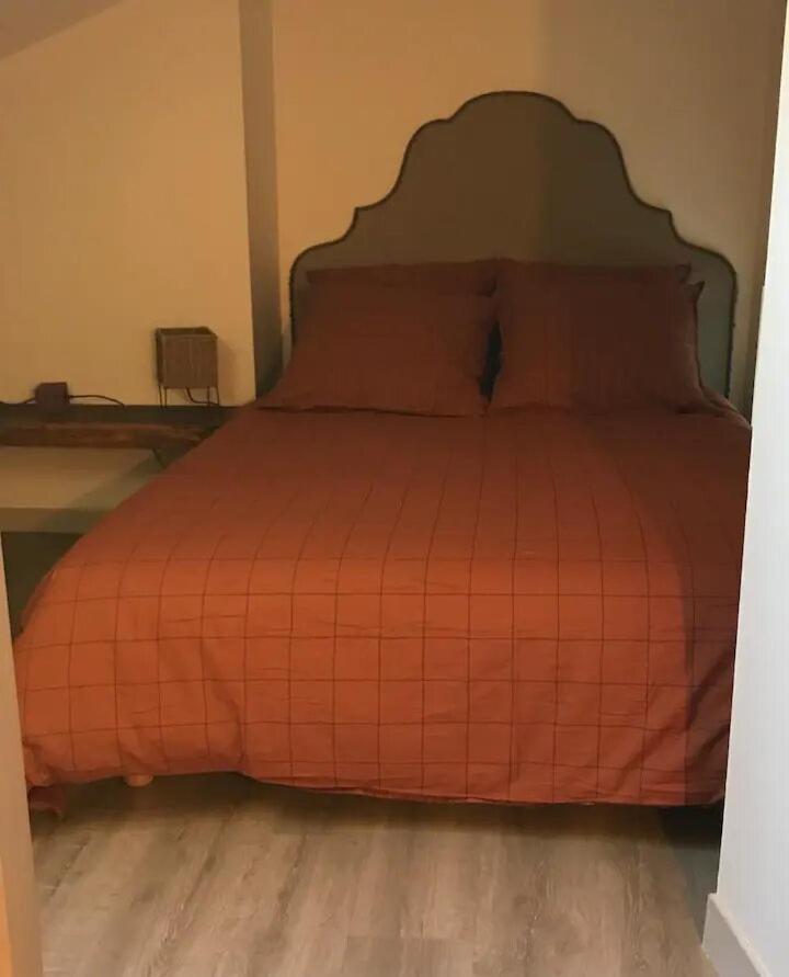 Appartement Douillet, Plein Centre Le Chambon-sur-Lignon Zewnętrze zdjęcie